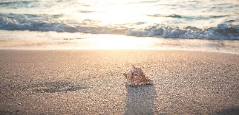 Beach Getaway