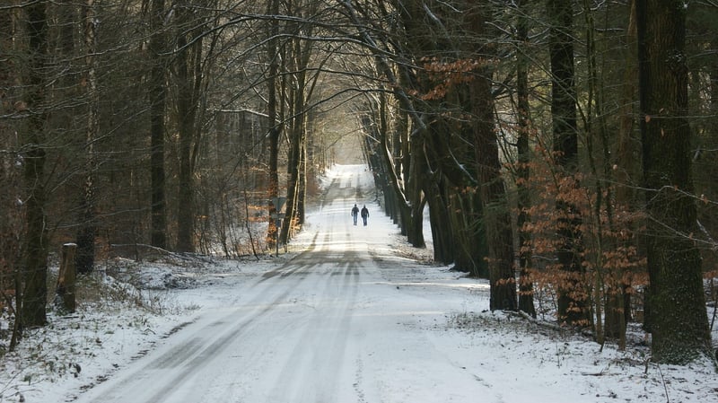 Hiking Trail